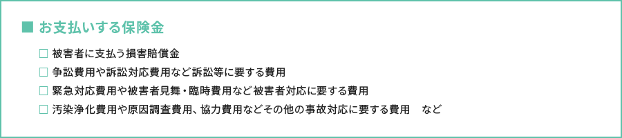 お支払いする保険金 お支払いする保険金